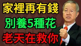 家裡再有錢也別養這5種花！看似吉利其實是「凶兆」，曾仕強：這是老天在救你！#曾仕強 #易經 #國學 #正能量 #家居風水 #財運 #養花禁忌 #人生智慧 #家運 #風水大忌 #2026運勢