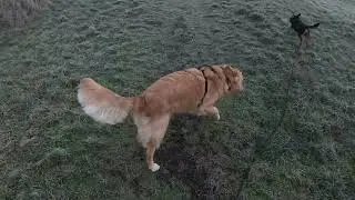 Ep88 NYE Canal Walkies