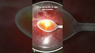 #instant agar agar jelly | #easy to make easy to eat 💕 | ~LAHAZ~