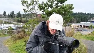 Watch How A Local Birder Set A Washington-State Record For Birds Seen In A Year