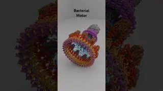 Bacterial flagellar motor #animation #science #new
