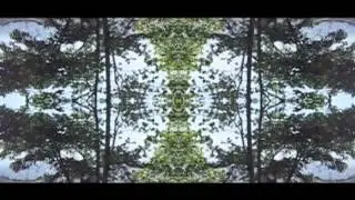 Mr. Tophat & Art Alfie - SDIK Baby [Karlovak]