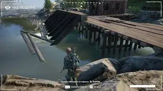 Vigor cheats