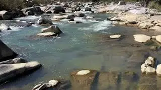 A Day in the Forest: Flowing Stream, Birdsong & Absolute Peace