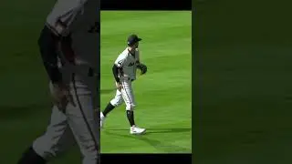 (Kind of) Diving Catch Alex Schmidt #baseballdeutschland #nationalmannschaft #baseball #highlights