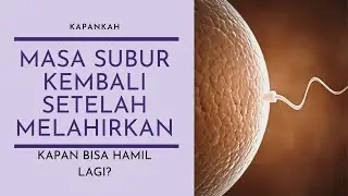 Kapan Bisa Hamil Setelah Melahirkan? Kapan Subur Lagi?