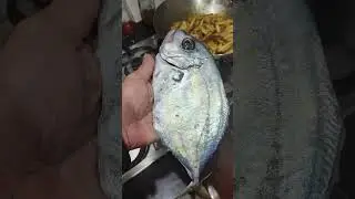 prepare to cook #trevally #fishinglife #shorecasting #shortvideo #fypシ゚viral