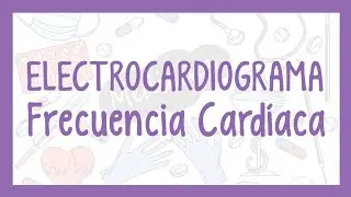 ¿Cómo calcular la FRECUENCIA CARDÍACA en el ELECTROCARDIOGRAMA? | ¡Fácil explicación!