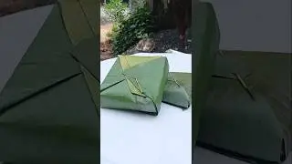 banana leaf lunch box #veggiemaster #viralvideo #trending