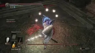 DARK SOULS&trade; III - Spear of the Church invader style with Hydrogrind88