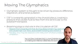 Unlocking Your Brain’s Detox System: The Power of the Glymphatic System