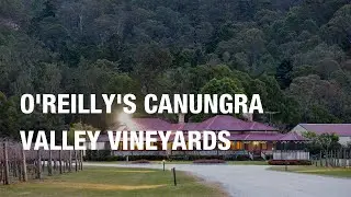 O'Reilly's Canungra Valley Vineyards 🍷