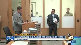 Former Marine who punched cop sentenced to prison