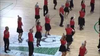 Exhibició Juny 2017- 6ª Entrega - Danza Gitana