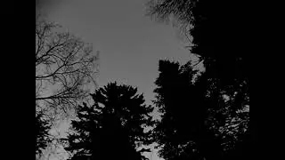 Der Grauer Winter - Melancholie (Official video)