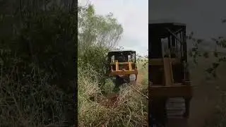 BULLDOZER Clearing OVERGROWN Land by CHAIN! Check out the full video!