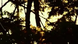 FREE TYPEWRITER LIVE IN Keep on grass music festival