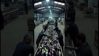 Eggplant Factory Processing | Brinjal Production Line | #factoryprocess #factorytour