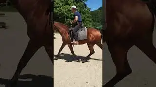 Amika na cordeo