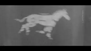 schirm. - mam （OFFICIAL VIDEO）