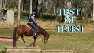 Can One Brave Horse Conquer This Tough Course?