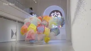 Discover 'Dappled Light' by Rana Begum