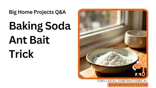 Baking Soda Sugar Bait Trick For Ant Trails