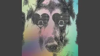 Do the Void