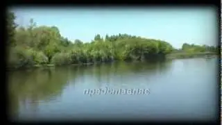 Пісня ходить,поміж нас