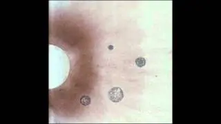 Daze Maxim - Heaven Raw (2010)