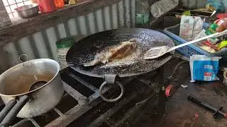 Barot valley famous for trout 🐟 