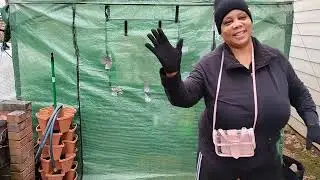 Winter Ice Storm Prep | Preparing the Greenhouse Garden For Winter Ice Storm & 11 Degrees Weather