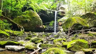Jaw-Dropping Adventure at Flat Lick Falls: Exploring Kentucky's Hidden Gem!