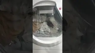 Hoover hle h9a2te-17 Kurutma Makinesi Sorunu Çözümü
