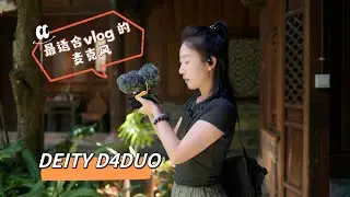 价格便宜，双向收音，适合vlog的麦克风，DEITY谛听D4DUO评测