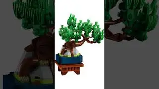 LEGO Botanicals new releases in August #bricksyouneed #lego #afol #legobotanicals