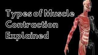 3 Types of Muscle Contraction in Hindi| Eccentric, Concentric, Isometric