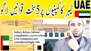 Salary delays, labour complaints: 5 cases when UAE companies are considered high-risk