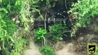 As two hawks in Novodonetsk heeded the advice and are now peacefully resting😁 #russia #ukraine #war