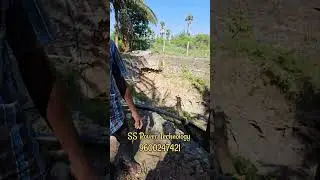 Solar | Agriculture | Plug Point