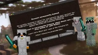 I Almost Got BANNED from a Minecraft SMP--What Happened?