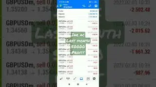 forex trading with best ea 2022