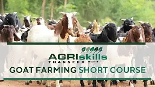 Goat Farming Short Course | Learn to Farm with Coats in South Africa