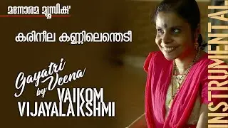 Karineela Kannilenthedi | Film song on Gayathri Veena by Vaikom Vijayalakshmi