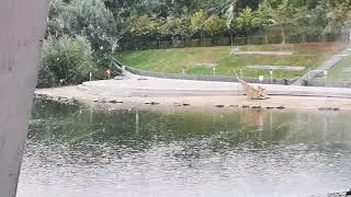 NECKARUFER