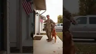 Security Cam: &ldquo;Hey Boy&hellip; It&rsquo;s Me.&rdquo; Dog Freezes &mdash; Then Explodes With Joy