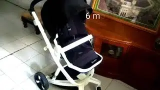Chocolate Quintas Plus Baby New Born 2019