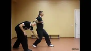 Chan Wah Shun Wing Chun 3