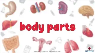 Body Parts - 1 #learnspelling  #abcd #preschool #picturedictionary #earlyeducation #indianeducation