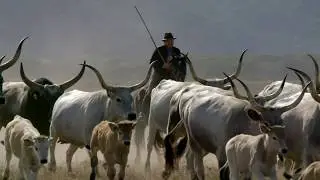TRAILER - DOCUMENTARIO - GLI ULTIMI BUTTERI